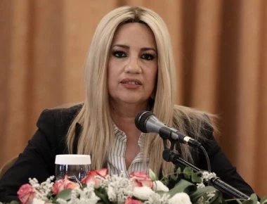 Φ.Γεννηματά: «Δεν θα επιτρέψουμε να μπει η χώρα σε περιπέτειες» (βίντεο)